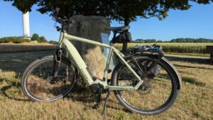 Foto eines E-Bikes von Flyer, Modell "Upstreet 7.43" in der Farbe "Frosty Sage" vor einem Findling und einem Baum
